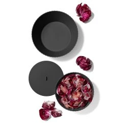 BlimPlus - Schüssel NETTUNO -Stadter Speichern 1710 Schuessel Nettuno XL 3