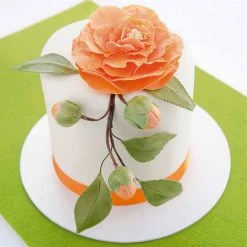 Städter - Modellierwerkzeug Form & Struktur - Weiß - 18,5 Cm -Stadter Speichern 35071 Modellierwerkzeug Form Struktur ca. 185 cm Weiss 4