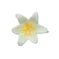 Städter - Tülle Sterntülle - Klein - Verschiedene Größen -Stadter Speichern 35519 Tuelle Sterntuelle 2 mm 14 klein 4