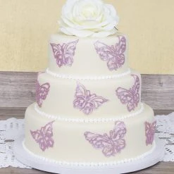 Städter - Kuchenplatte -Rund - Weiß - Extra Stark -Stadter Speichern 36529 Kuchenplatte ca. 25 cm Weiss Rund extra stark 3