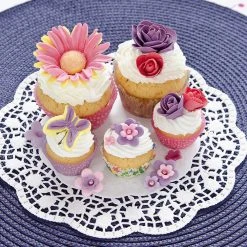 Städter - Tortenspitze - Weiß - Rund - 6 Stück -Stadter Speichern 36533 Tortenspitze ca. 20 cm Weiss Rund 6 Stueck 5